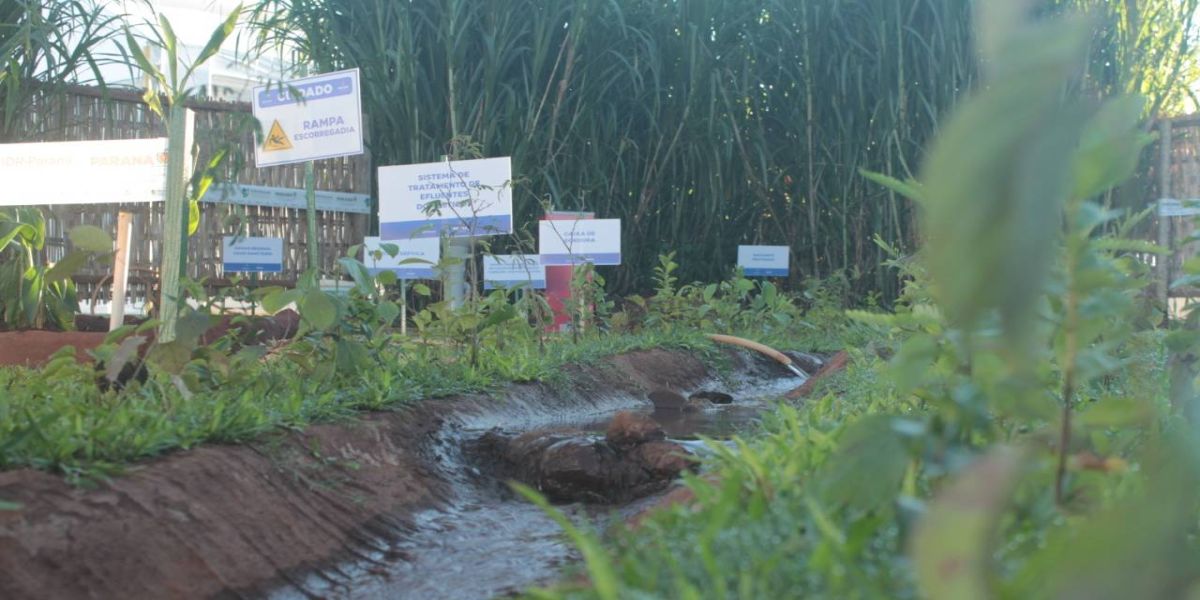 Tratamento de efluentes domésticos com baixo custo