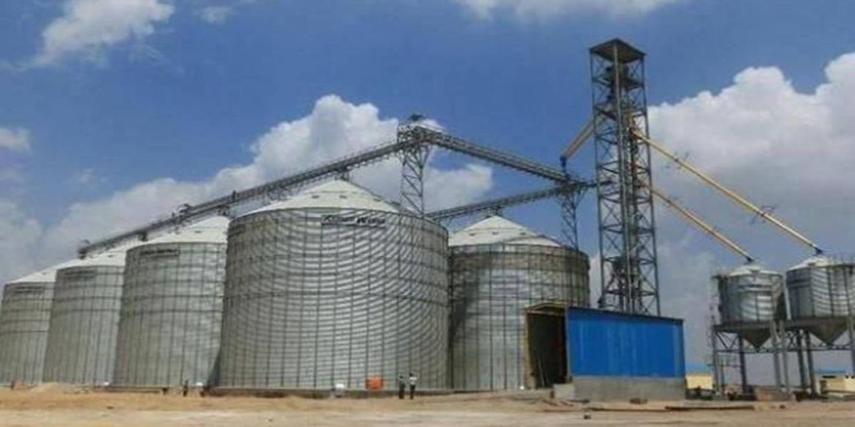 Fintech desburocratiza e facilita o acesso ao crédito para o produtor rural