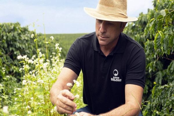 Brasil recebe a primeira certificação de cafeicultura regenerativa do mundo