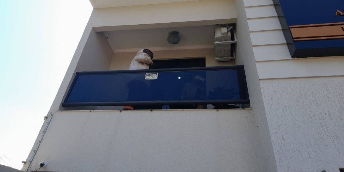 Defesa Civil remove 20 enxames de abelhas em um único dia