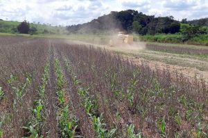 Imagem referente a notícia: Seca recua no Oeste e Noroeste do Paraná e se agrava no Norte e RMC, diz monitor da ANA