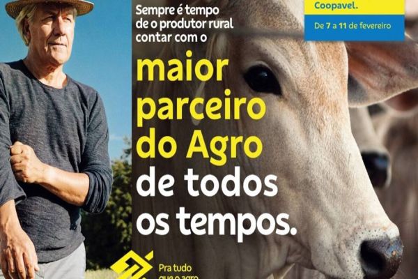 Conexão com fibra óptica impulsiona o agronegócio brasileiro