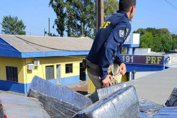 PRF apreende quase 1 tonelada de maconha na BR-163 em Lindoeste