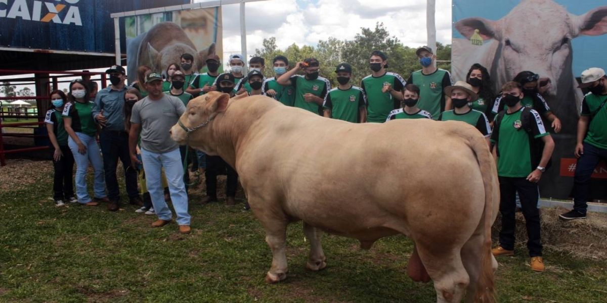 Pecuária: Convênio coloca Colégio Agrícola de Toledo como polo regional