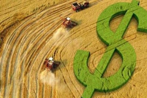Endividamento rural pode chegar a um trilhão de reais