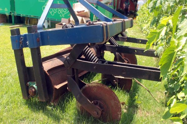 Agroecologia: VITAL lança rolo-faca para hortaliças