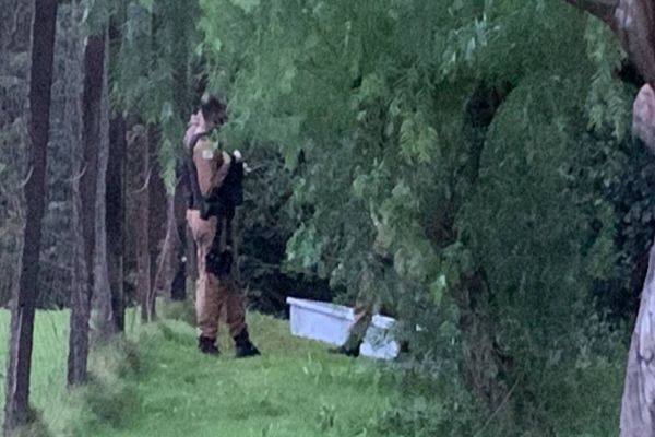 Rapaz morto a golpes de tesoura é identificado