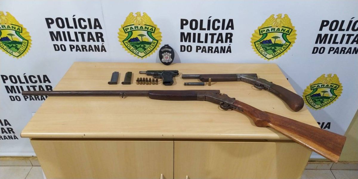 Três armas de fogo são apreendidas pela Polícia Civil em Ibema