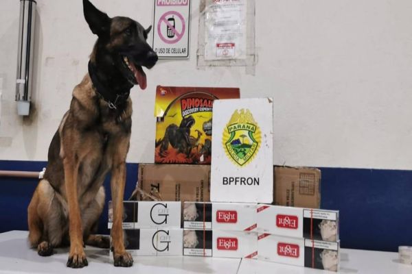 BPFRON apreende 14 volumes de produtos estrangeiros na cidade de Cascavel