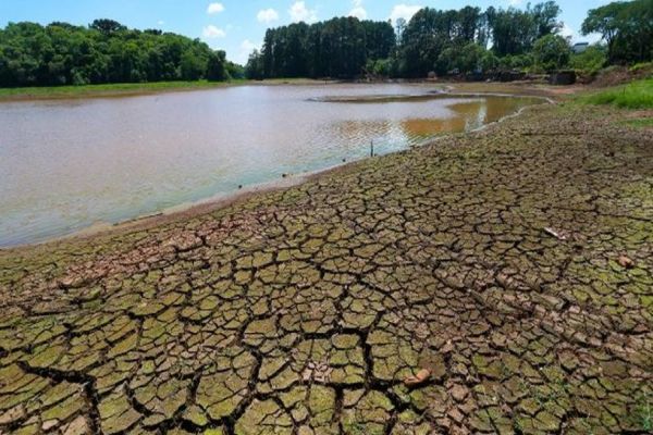 Estiagem provoca perdas estimadas em mais de R$ 16 bilhões no Paraná