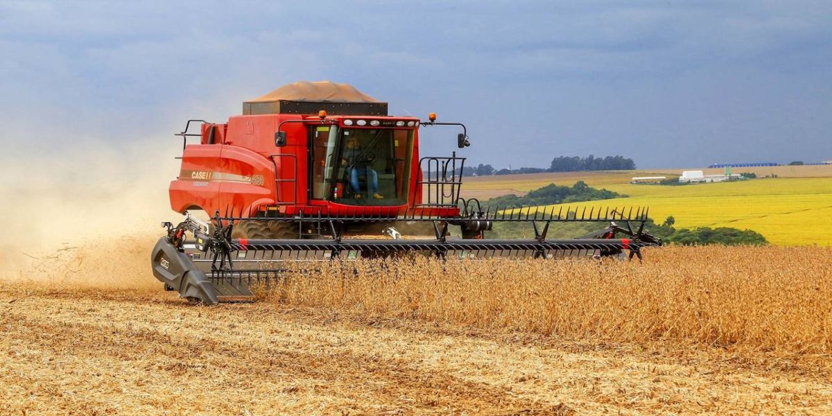 Com 22 milhões de toneladas, Paraná deve confirmar safra recorde de soja