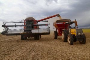 Imagem referente a notícia: Paraná propõe ao governo federal R$ 670 bilhões para Plano Safra 2026/2027