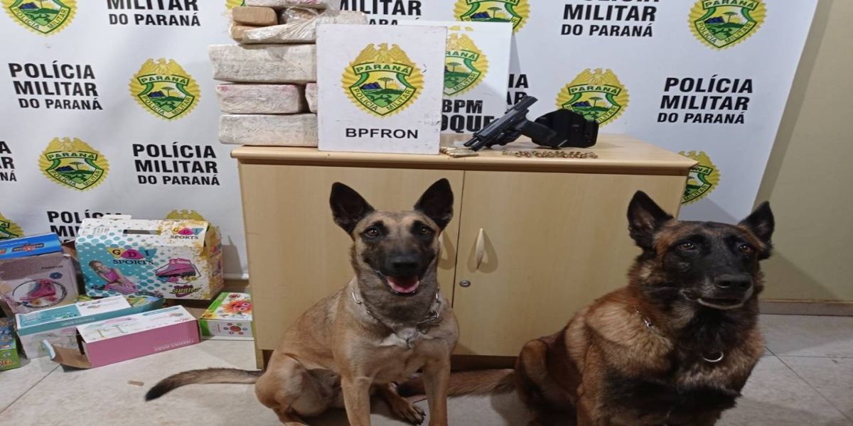 BPFRON apreende droga, arma e munições em ônibus na cidade de Corbélia