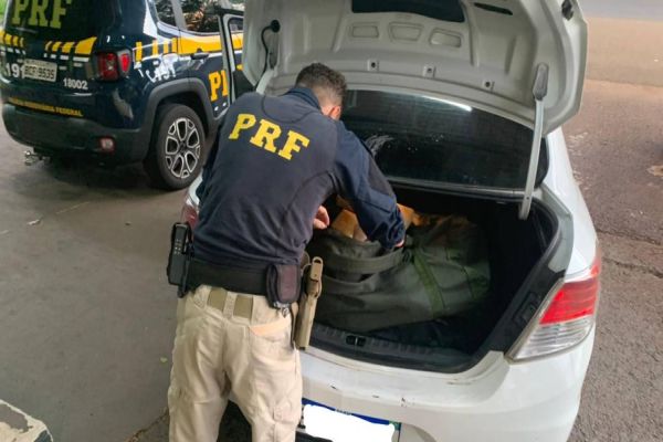 Em Céu Azul, PRF apreende 100 kg de maconha em automóvel