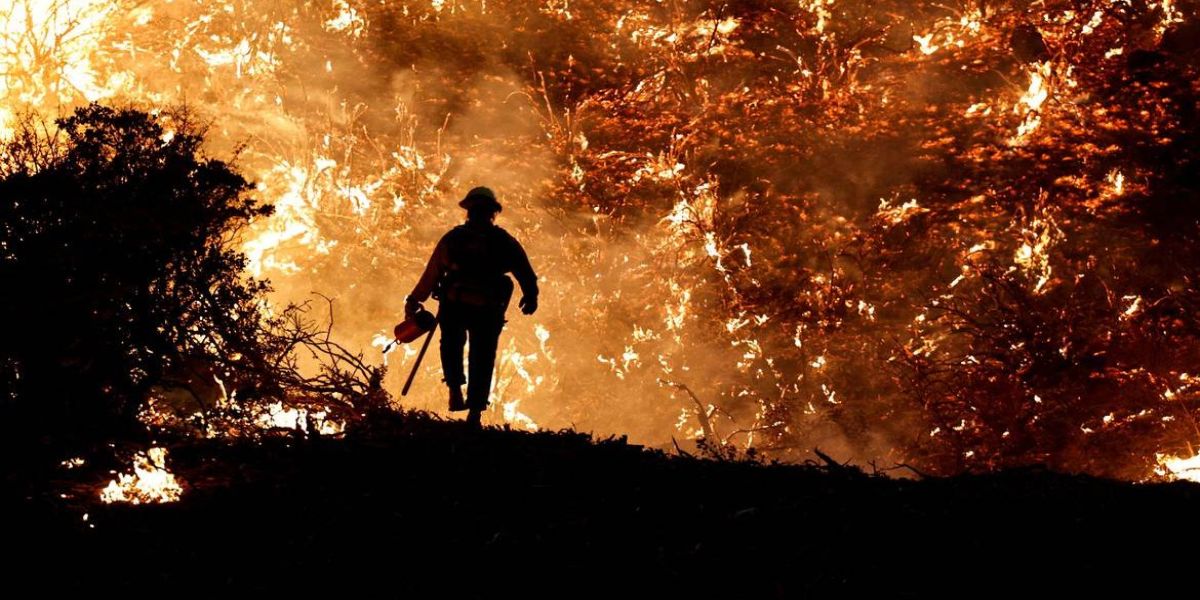 Peritos da ONU alertam para aumento de incêndios florestais