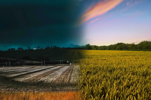 Foto relacionada a notícia: Seca ou excesso de chuvas: o que as cooperativas de crédito rural podem oferecer?