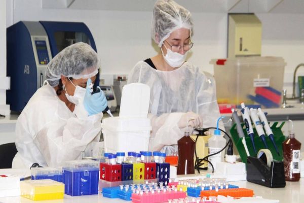 Paraná é destaque nacional no número de investigações a partir de seu banco de perfis genéticos