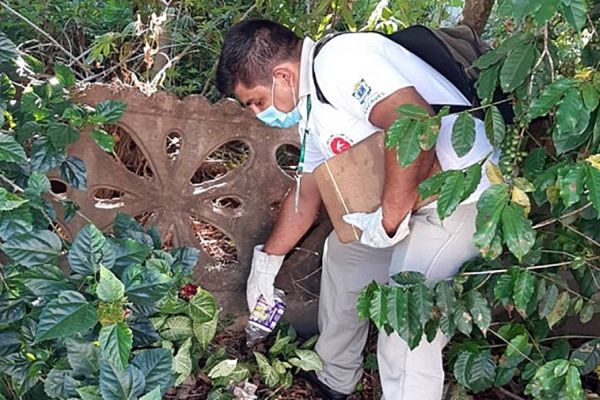 Boletim da dengue aponta 13 novos casos na última semana em Cascavel