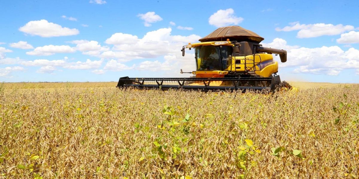 Paraná tem maior aumento do País na estimativa de produção de grãos em novembro