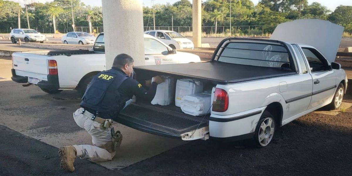 PRF apreende carga de agrotóxicos após fuga de motorista na BR-163