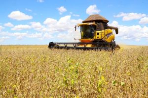 Imagem referente a notícia: Paraná tem maior aumento do País na estimativa de produção de grãos em novembro