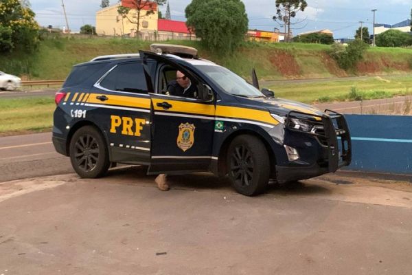 Imagem referente a notícia: Motociclista desvia de carro e cai de moto na marginal da BR-277