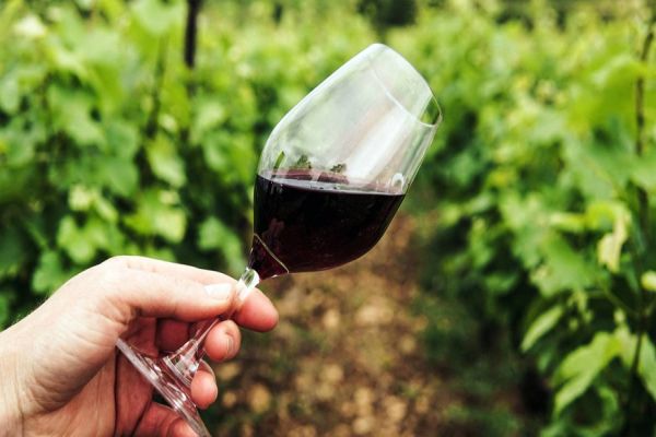 Por que vinhos orgânicos são mais caros?