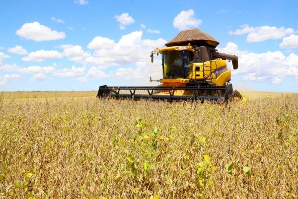 Paraná tem maior aumento do País na estimativa de produção de grãos em novembro