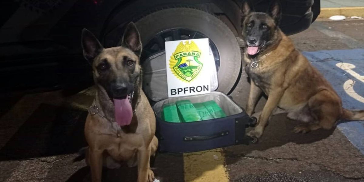 BPFRON apreende droga em ônibus na cidade de Corbélia