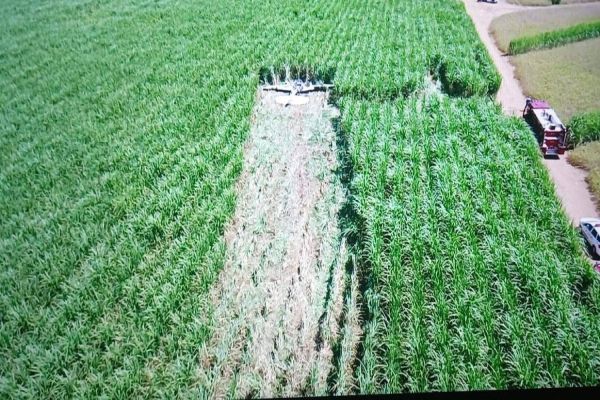 Avião cai em canavial e pega fogo no interior de São Paulo