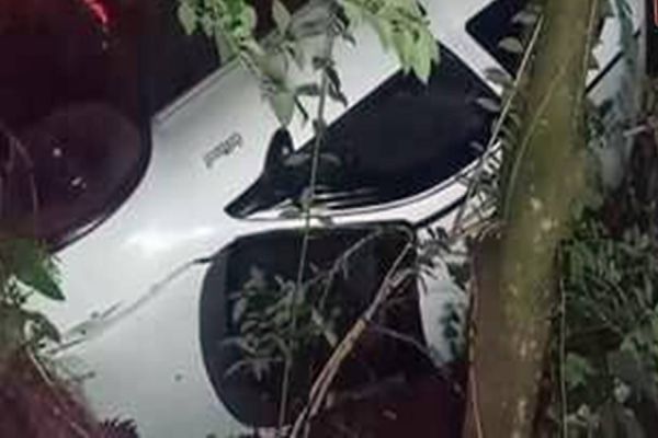 Carro fica pendurado entre ponte e árvore e duas pessoas ficam feridas