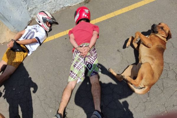 Prisão de suspeitos em Itaperuçu vira meme com cão obediente a ordem policial