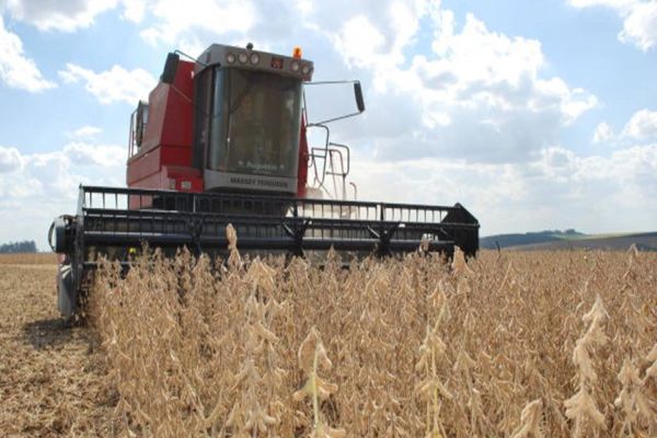Uso intensivo de máquinas traz riscos durante a colheita