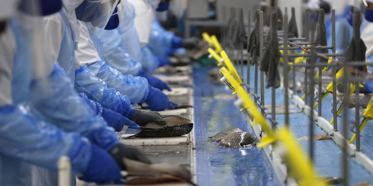 81,7% dos municípios do Paraná têm saldo positivo de emprego de janeiro a maio, aponta Caged