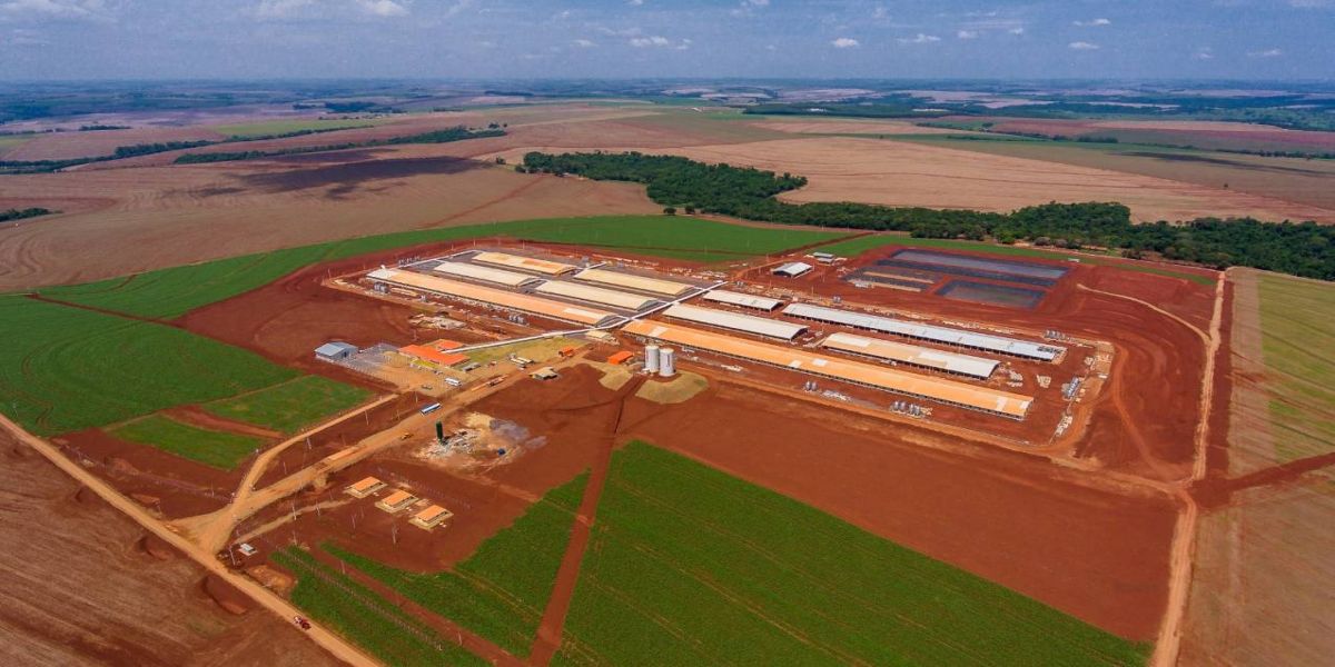 Copacol inaugura UPD: investimento de R$ 120 milhões à suinocultura