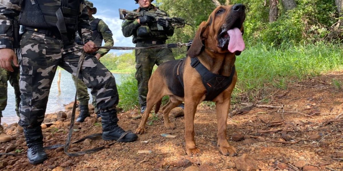 BPFRON promove 1º Encontro Técnico de Operações com Cães na Fronteira