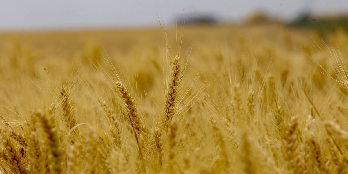 Paraná seleciona 253 agentes para atuar na difusão de práticas sustentáveis no meio rural