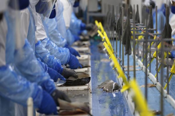 81,7% dos municípios do Paraná têm saldo positivo de emprego de janeiro a maio, aponta Caged