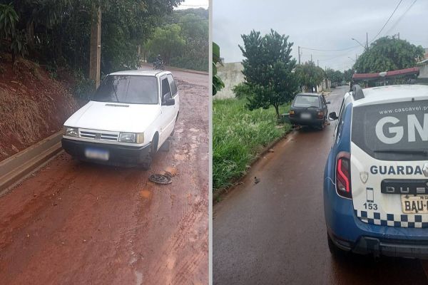 Guarda Municipal recupera veículos furtados e apreende arma de fogo na região norte