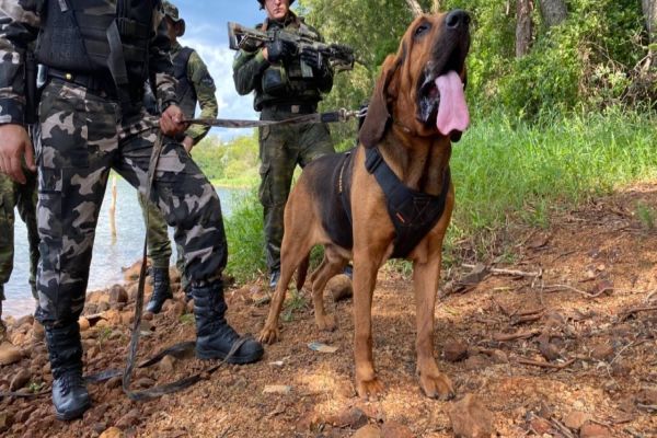 BPFRON promove 1º Encontro Técnico de Operações com Cães na Fronteira