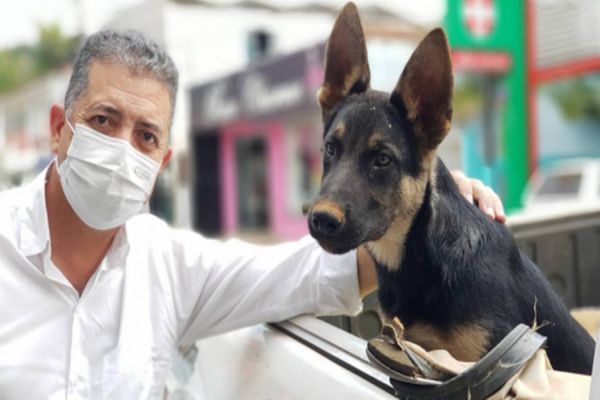 Deputado quer auxílio para instituições e famílias que cuidam de animais no Paraná