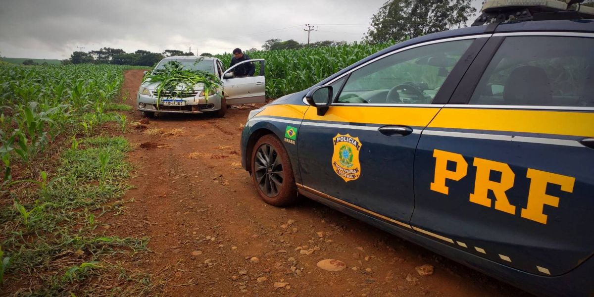 Contrabandista arremessa o carro em meio a plantação para fugir da PRF Cascavel