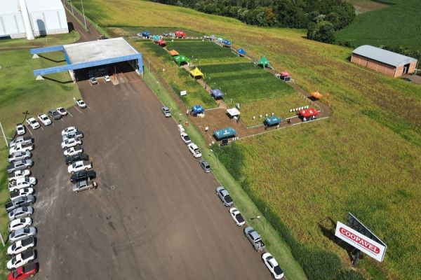 Coopavel realiza no Sudoeste dia de campo para cultivares de soja