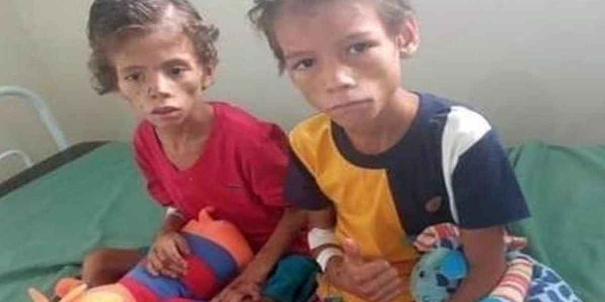 Irmãos comeram fruto típico do AM para sobreviver na floresta por 26 dias