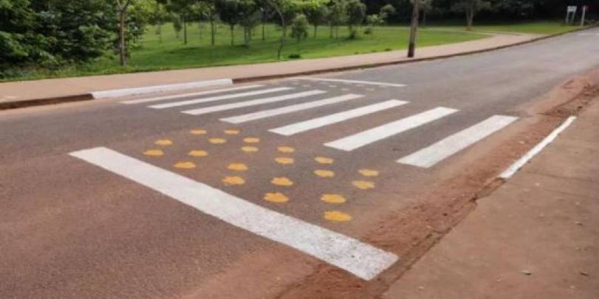 Cidade do Mato Grosso cria faixa de pedestre exclusiva para capivaras