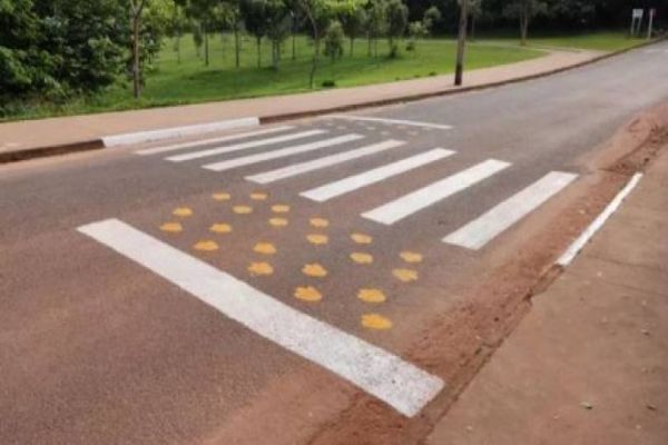 Cidade do Mato Grosso cria faixa de pedestre exclusiva para capivaras