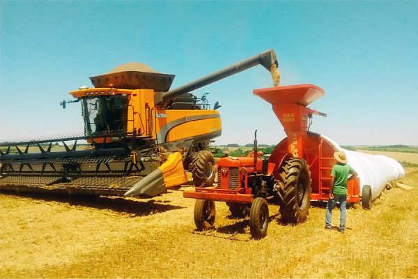 Com déficit de armazenagem de 100 milhões de toneladas por safra, silos-bolsas viram alternativa