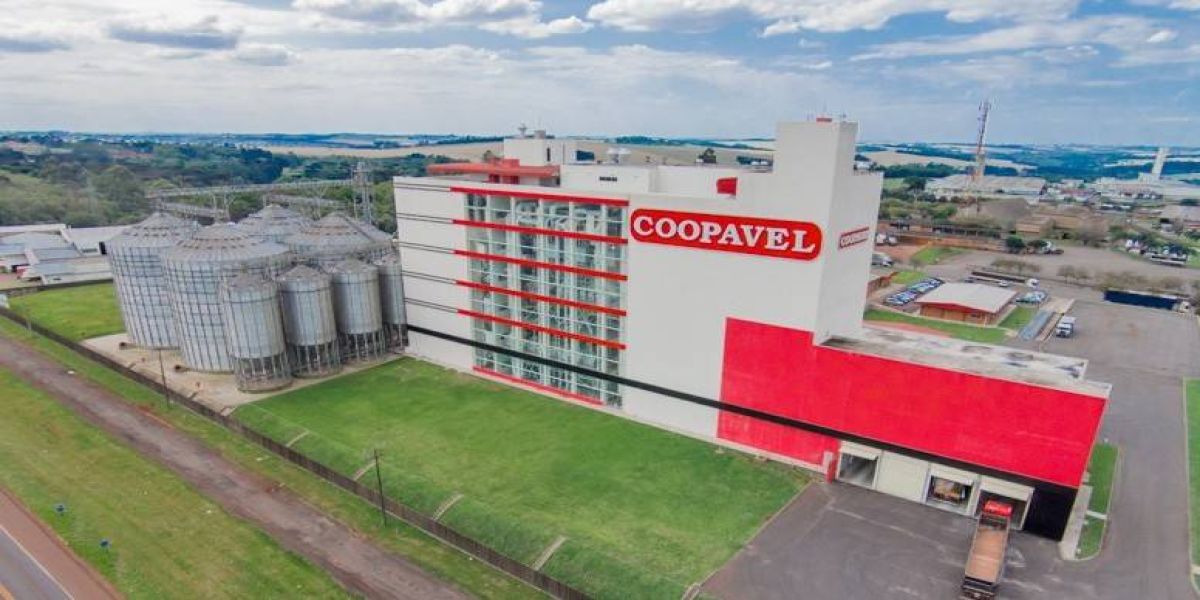 Coopavel está na final do “oscar do cooperativismo”