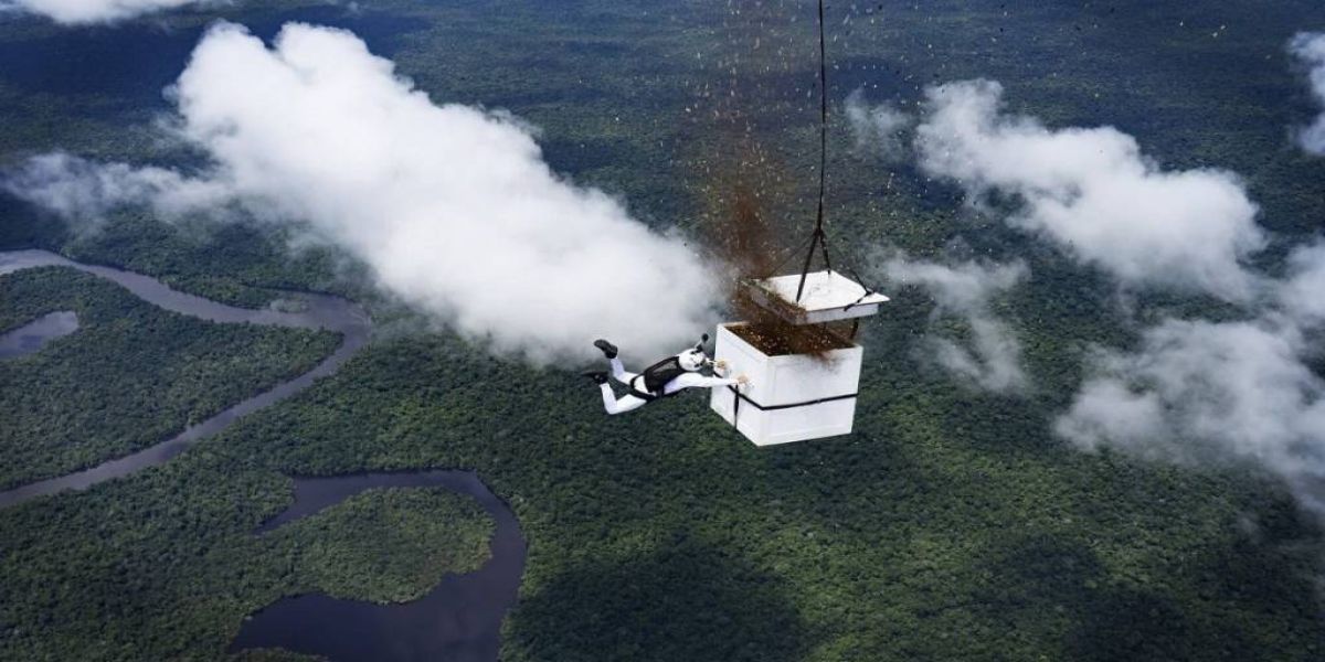 Paraquedista lança mais de 100 milhões de sementes em área desmatada da Amazônia; Vídeo
