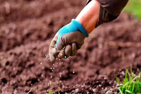 Alerta vermelho: O produtor precisa pensar em alternativas aos fertilizantes